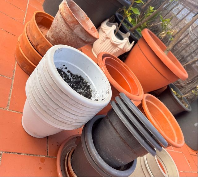 Lote de Maceteros Variados