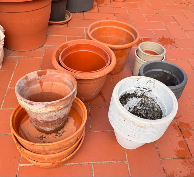 Lote de Maceteros Variados