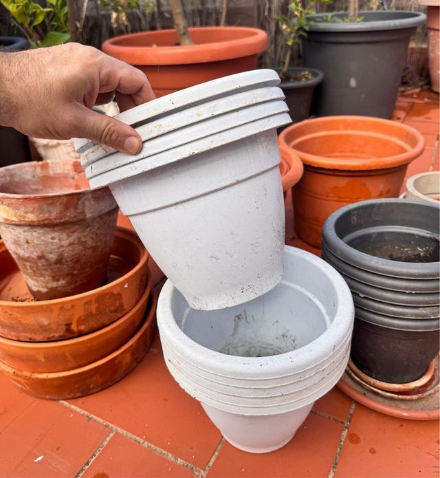 Lote de Maceteros Variados