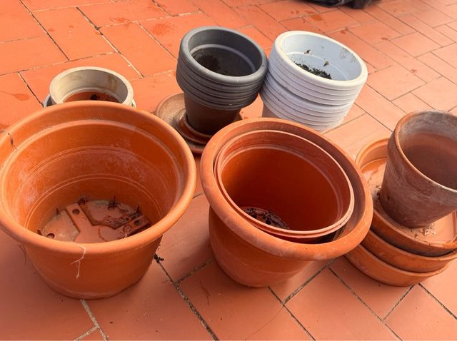 Lote de Maceteros Variados