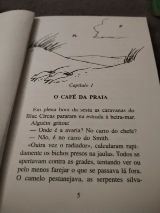 Livros Juvenis Usados