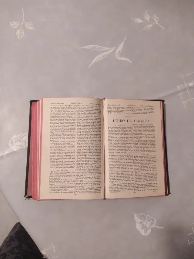 Santa Biblia antigua 1923