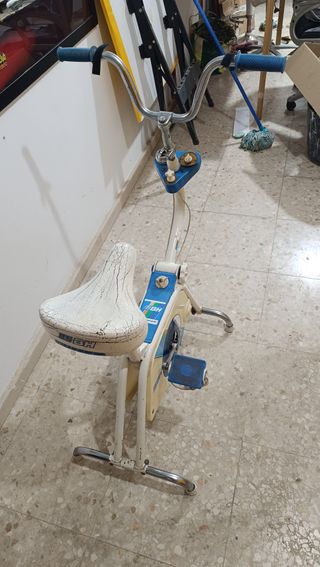 Bicicleta Estática BH Años 80