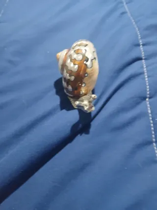 Lumaca in Argento marca pegasuas argenti