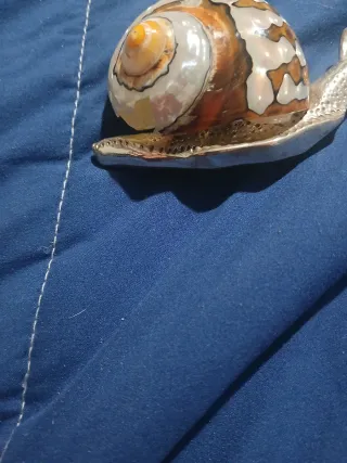 Lumaca in Argento marca pegasuas argenti