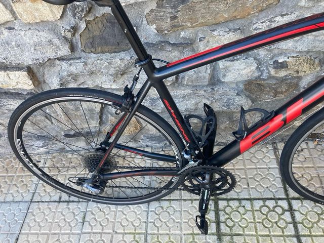 BH Sphene Talla M Claris