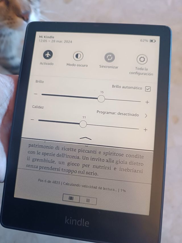Ebook Kindle Paperwhite 11 Negro