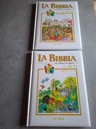Libri La Bubbia raccontata ai ragazzi Velar nuovi