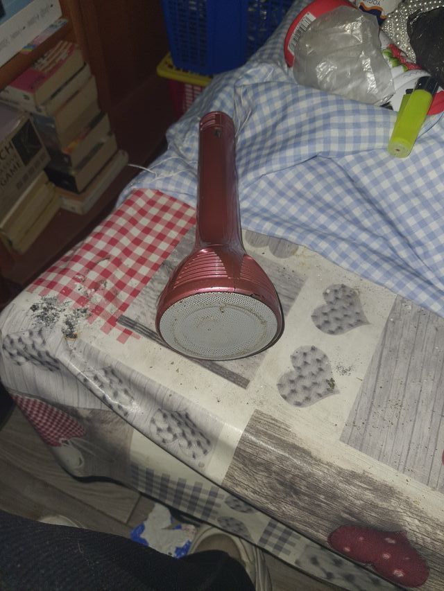 Micrófono Altavoz Rosa
