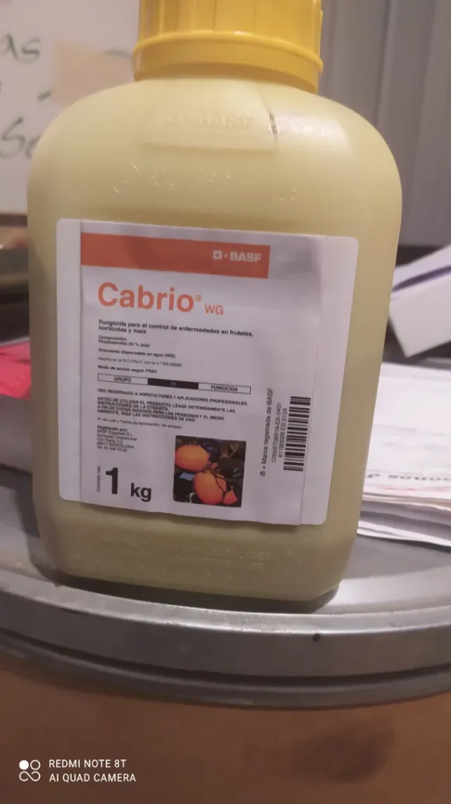 Fungicida Cabrio WG BASF 1 kg
