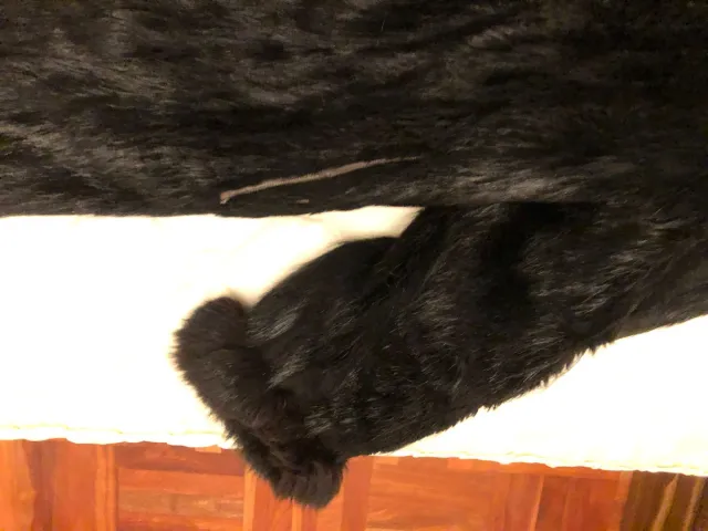 Abrigo de piel Peletería Maribel negro