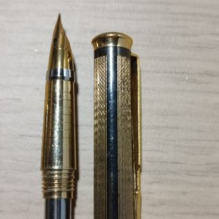 Pluma estilográfica dorada y negra