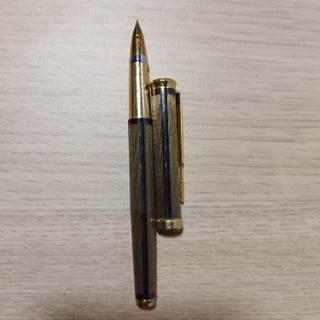 Pluma estilográfica dorada y negra