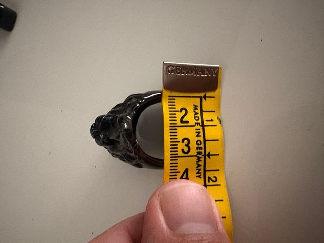Anello uomo testa di leone nero