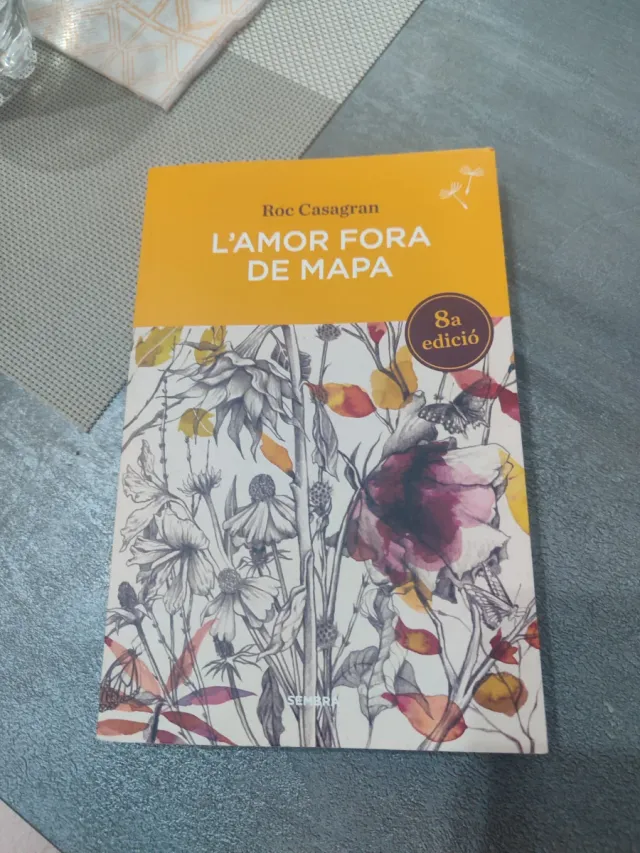 L'amor fora de mapa (BUTXACA) (en valencià)