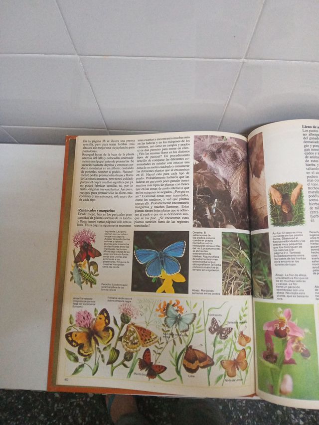 LA NATURALEZA QUE NOS RODEA.