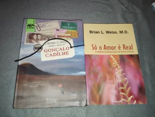 Livros de Vários Escritores Novos