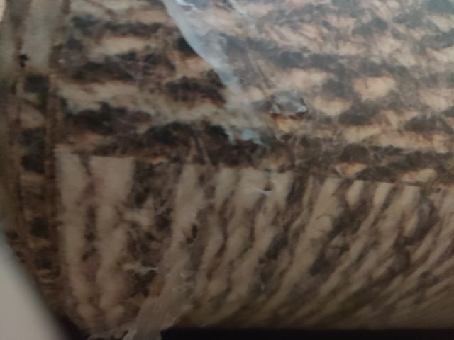 Alfombra Rollo Velvet Amiko Antideslizante