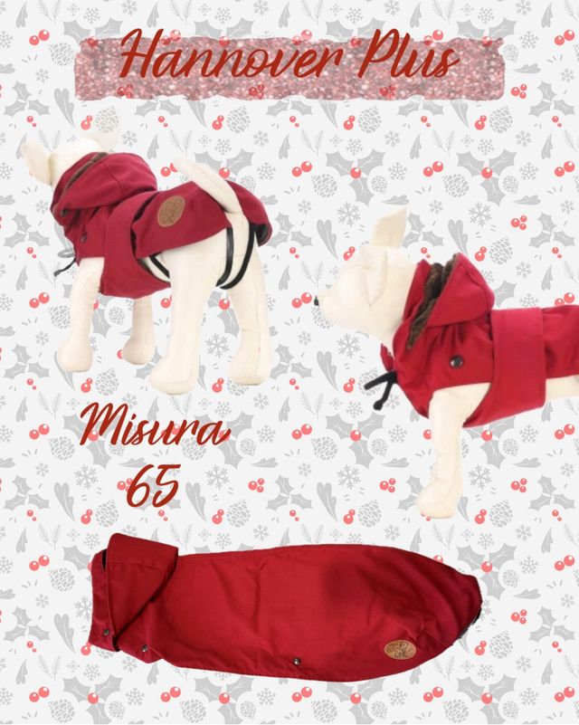 Cappottino cane con cappuccio e pelliccia