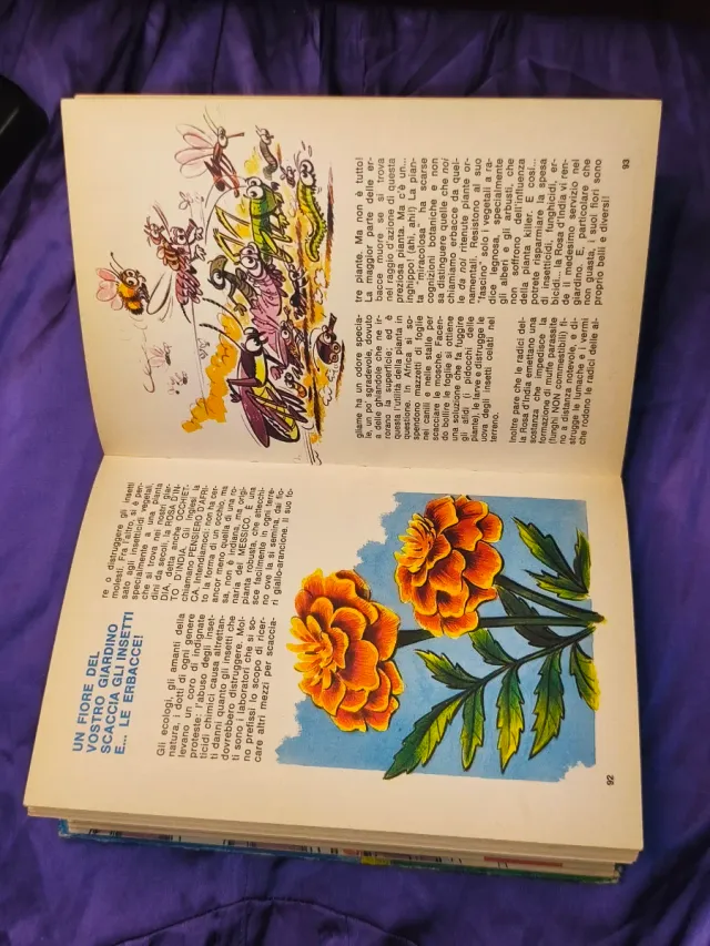 Secondo manuale delle giovani marmotte