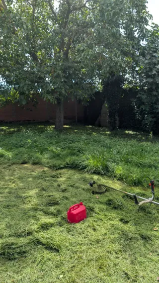 Desbroce y limpieza de fincas y jardines