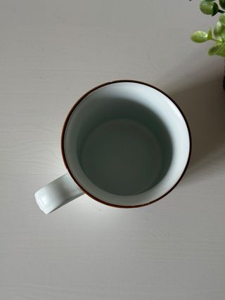 Taza Pontesa pájaro pinzón cerámica