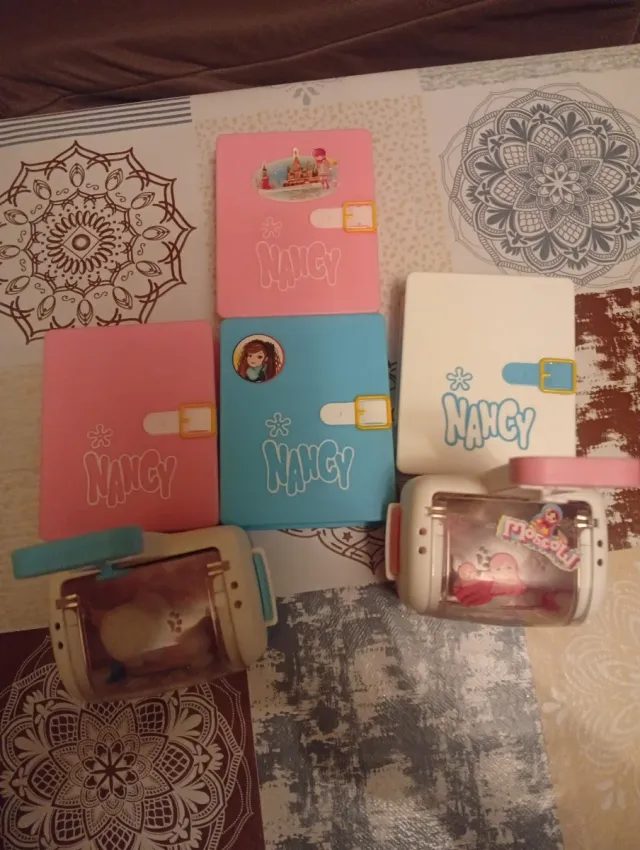 Accesorios Nancy: Diarios y Cajas