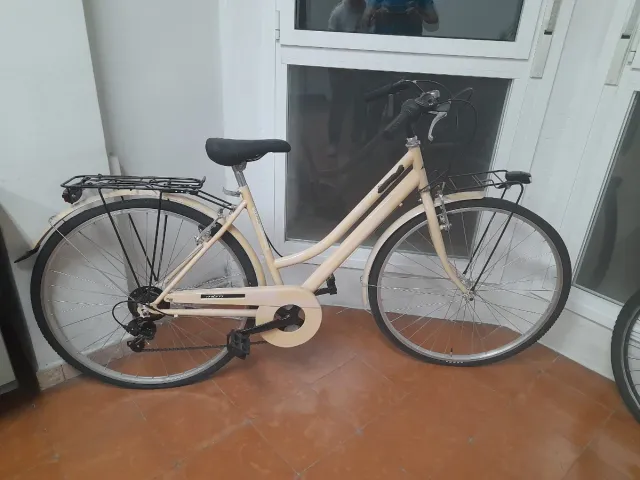 Bicicleta Paseo Adulto