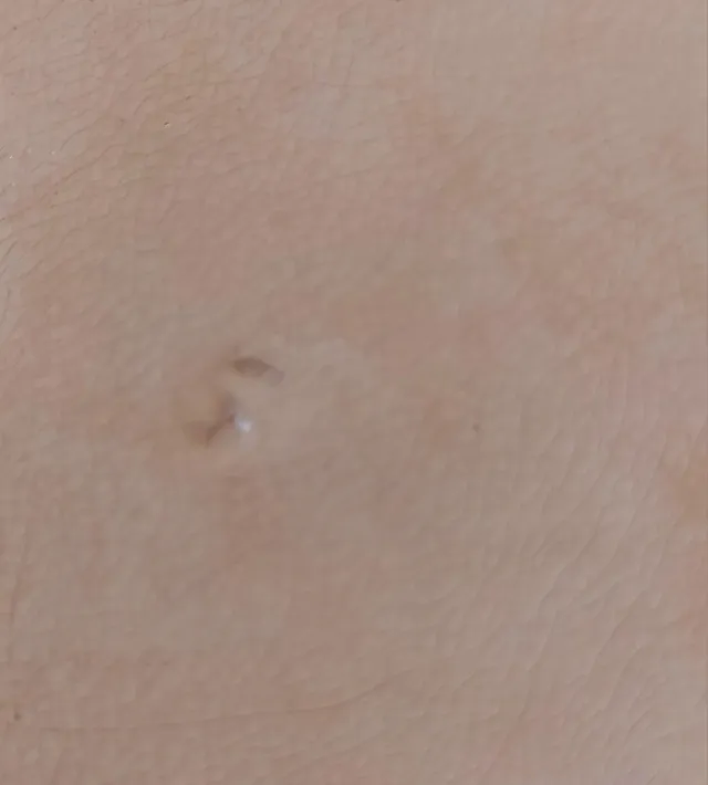 Bandeja antigua cerámica San Claudio Oviedo 1910