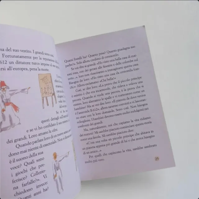 (Fare Offerte)Il piccolo principe 