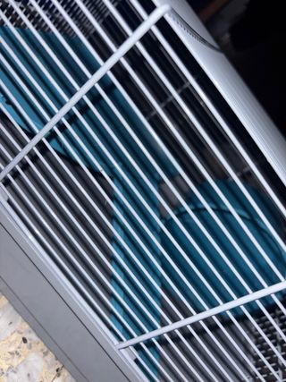 Jaula para hámster con accesorios precio negociabl