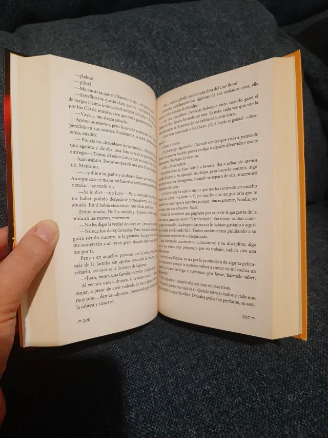 Novela "¿Y a ti qué te importa?" (Spanish version)