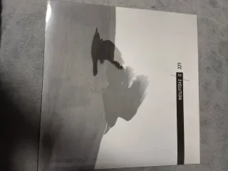 LP LAS CASI CASIOTONES LCC D Evolution