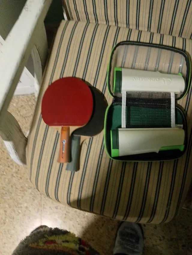 Red ping pong ajustable y 2 palas