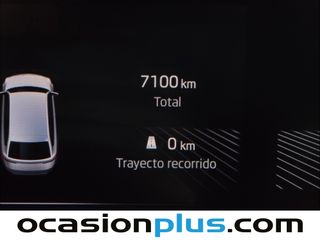 Skoda Fabia 1.0 TSI Selection DSG 85 kW (115 CV)