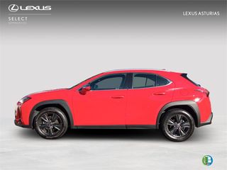 Lexus UX SUV BUSINESS 2.0 L Híbrido (2WD)