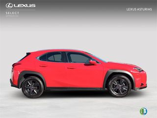Lexus UX SUV BUSINESS 2.0 L Híbrido (2WD)