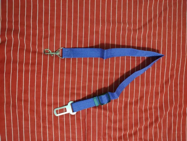 Correa Cinturón Seguridad Perro