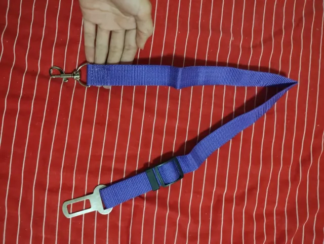 Correa Cinturón Seguridad Perro