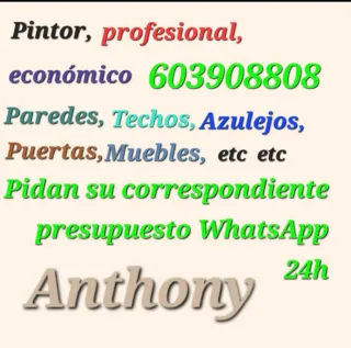 Pintor profesional y económico