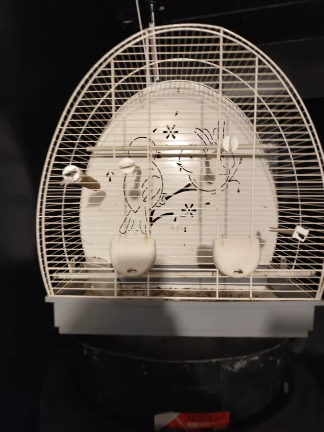 Jaula para pájaros blanca