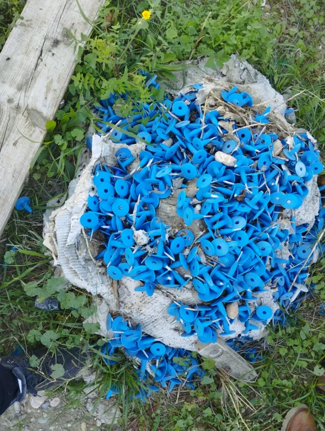 Tornillos con taco azul