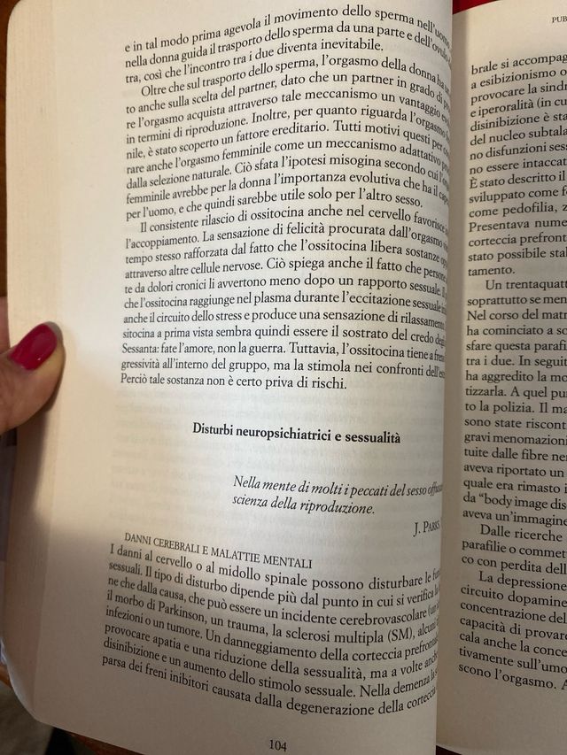 Noi siamo il nostro cervello. Come pensiamo, so...