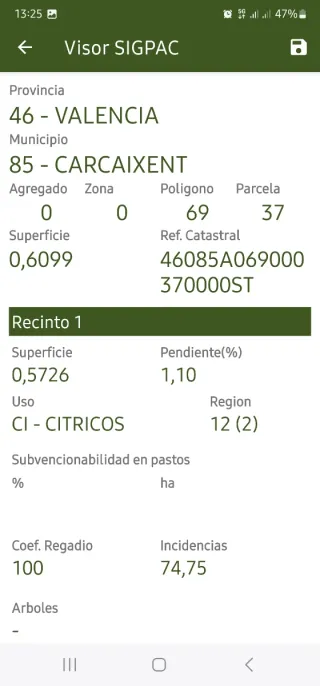 Terrenos de 0.34 ha y 0.66 ha de Okitsu y Navelina