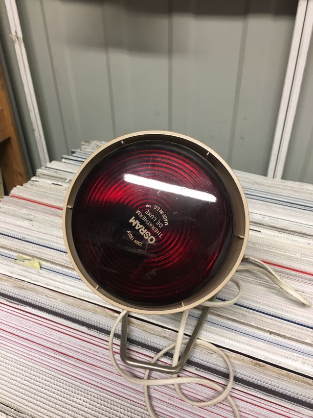 Lámpara infrarroja Osram Theratherm 150W