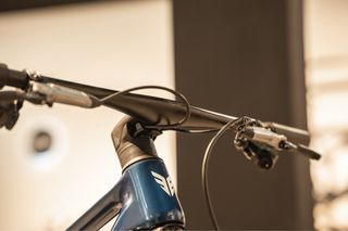 Berria Mako Flight Attendant