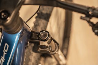 Berria Mako Flight Attendant