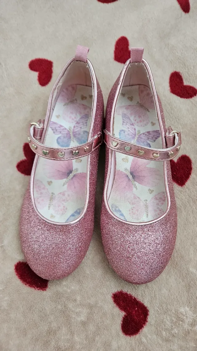 Manoletinas niña rosas con mariposas