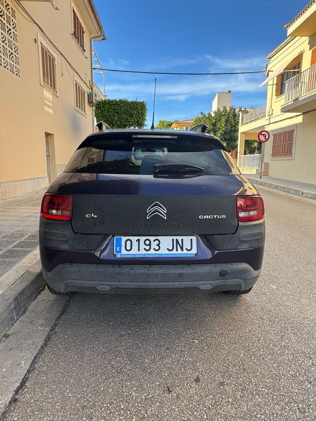 Citroen C4 Cactus 2016