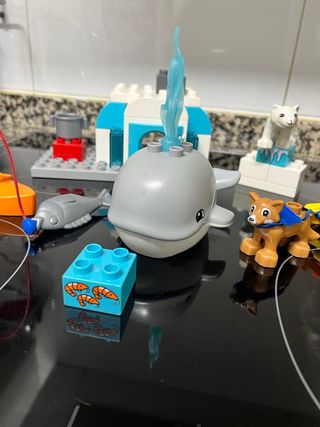 Set Artico Lego Duplo 10803